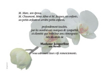 Faire-part décès -deuil- remerciement Orchidée Blanc Remerciement Décès